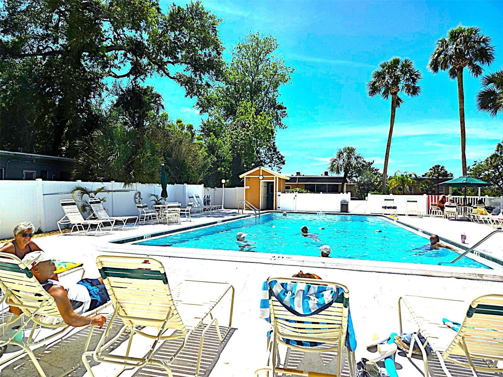 12760 Indian Rocks Road #578 Largo FL 33774 TB8502351 image21