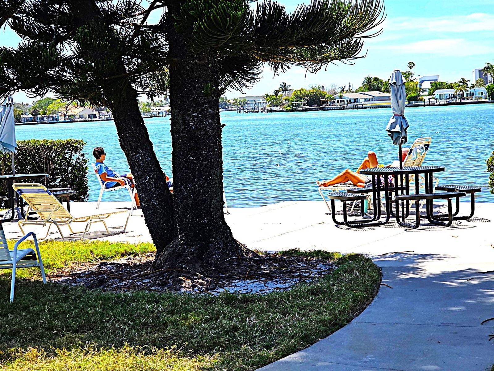 12760 Indian Rocks Road #578 Largo FL 33774 TB8502351 image27