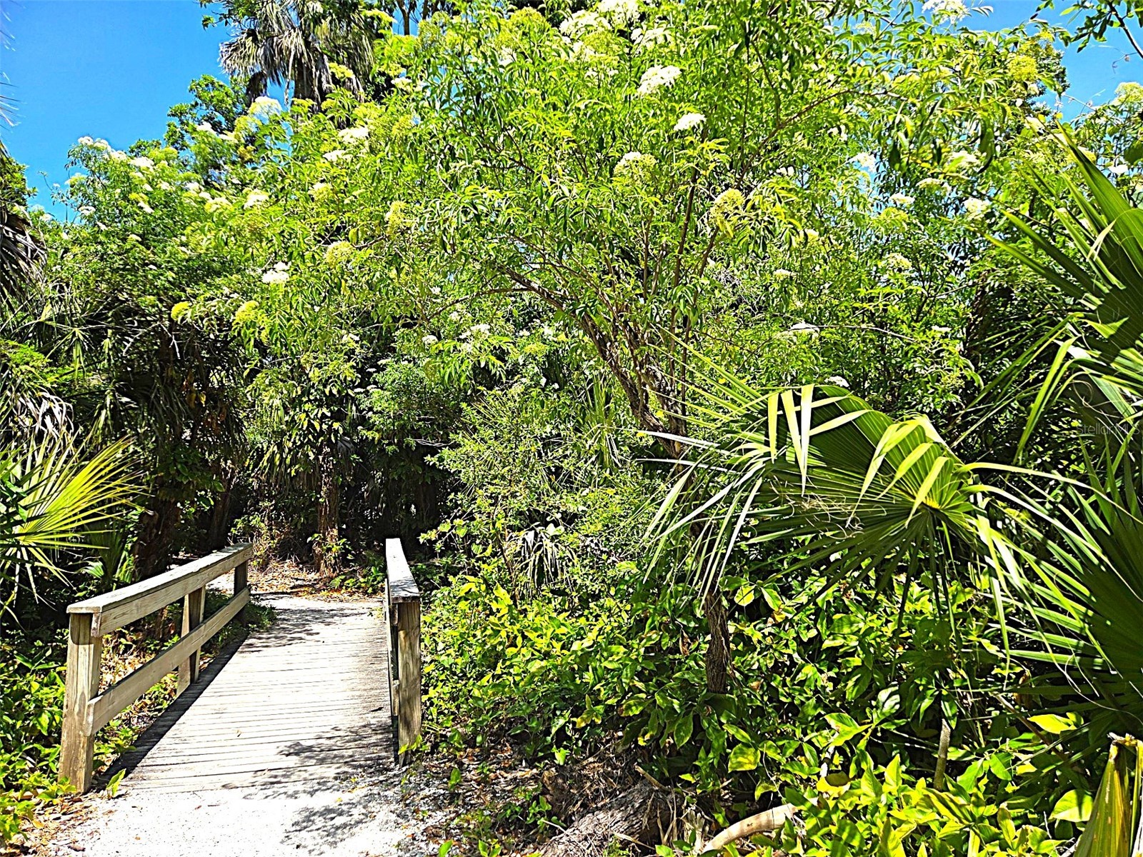 12760 Indian Rocks Road #578 Largo FL 33774 TB8502351 image34