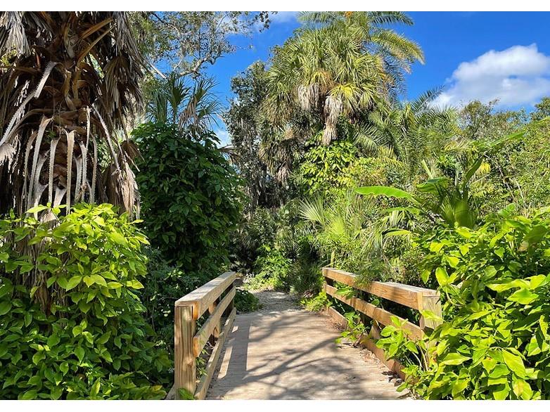 12760 Indian Rocks Road #605 Largo FL 33774 TB8508976 image91