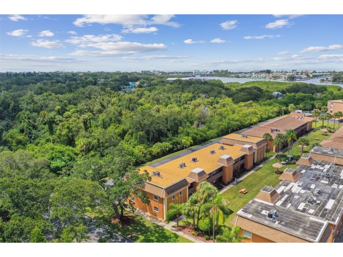 12760 Indian Rocks Road #910 Largo FL 33774 TB8300449 image52