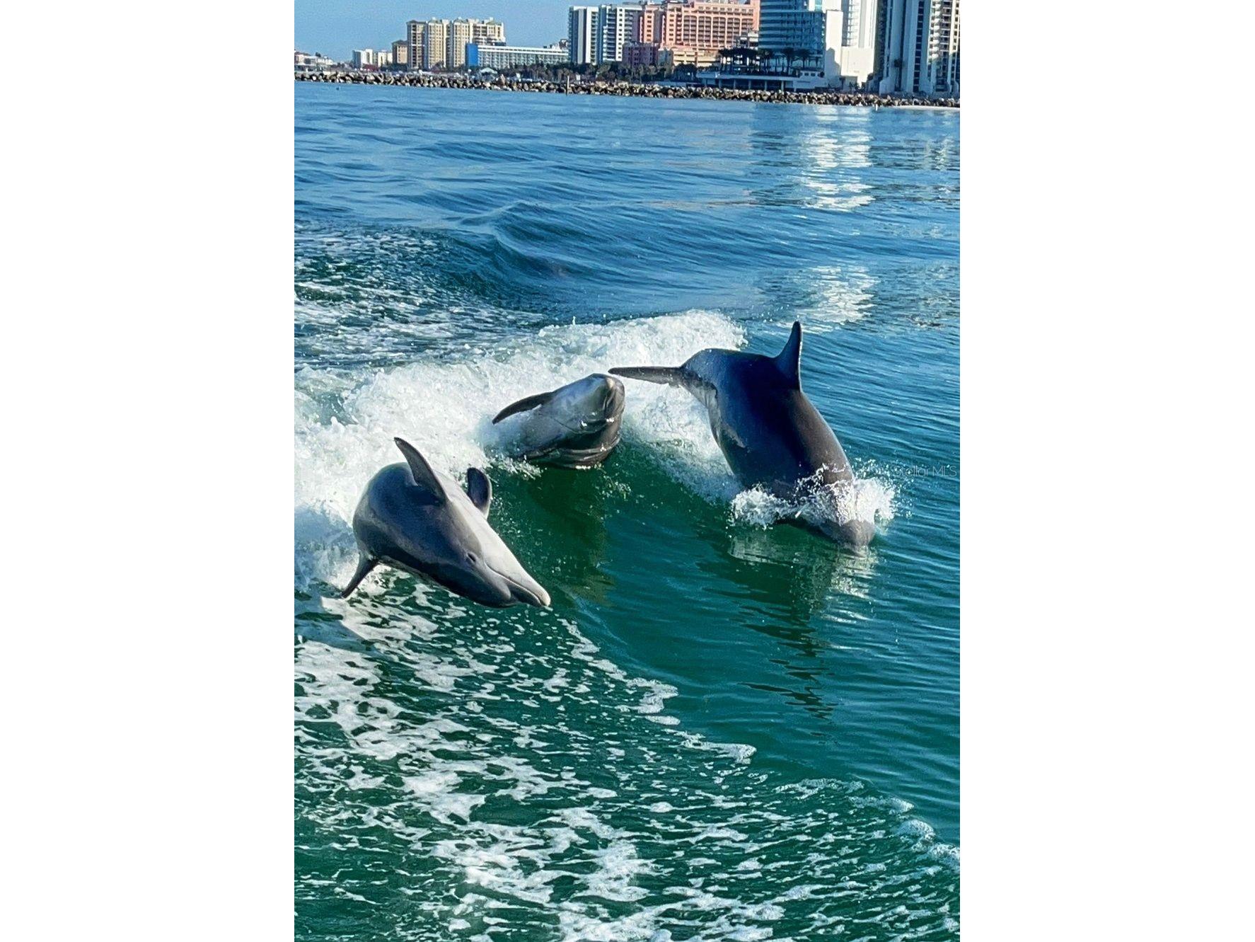 12760 SW Lake Side Drive Arcadia FL 34269 - LAKE SUZY C7522056 image44