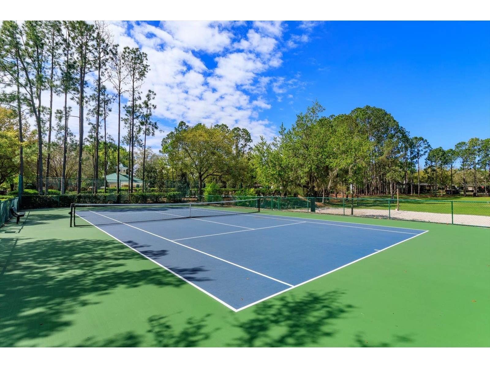 12761 Holdenbury Lane Windermere FL 34786 O6392337 image31