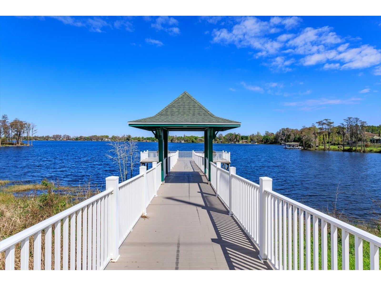 12761 Holdenbury Lane Windermere FL 34786 O6392337 image33