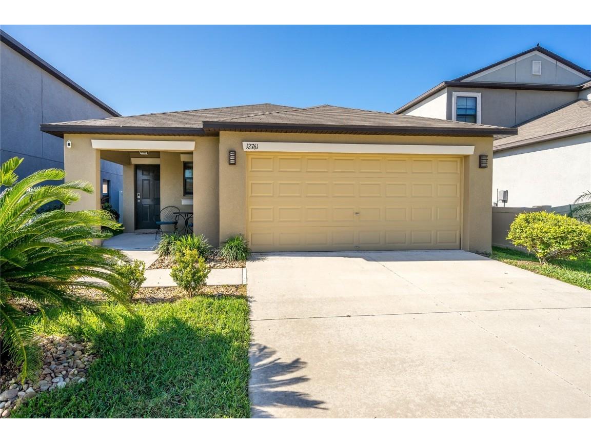 12761 Lemon Pepper Drive Riverview FL 33578 T3441508 image1