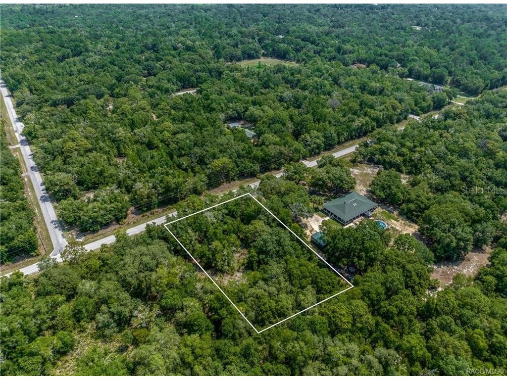 12766 W Cornflower Drive Crystal River FL 34428 TB8457971 image1