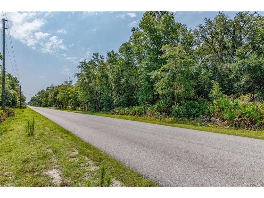 12766 W Cornflower Drive Crystal River FL 34428 TB8457971 image3