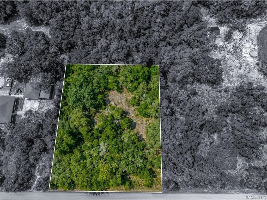 12766 W Cornflower Drive Crystal River FL 34428 TB8457971 image4