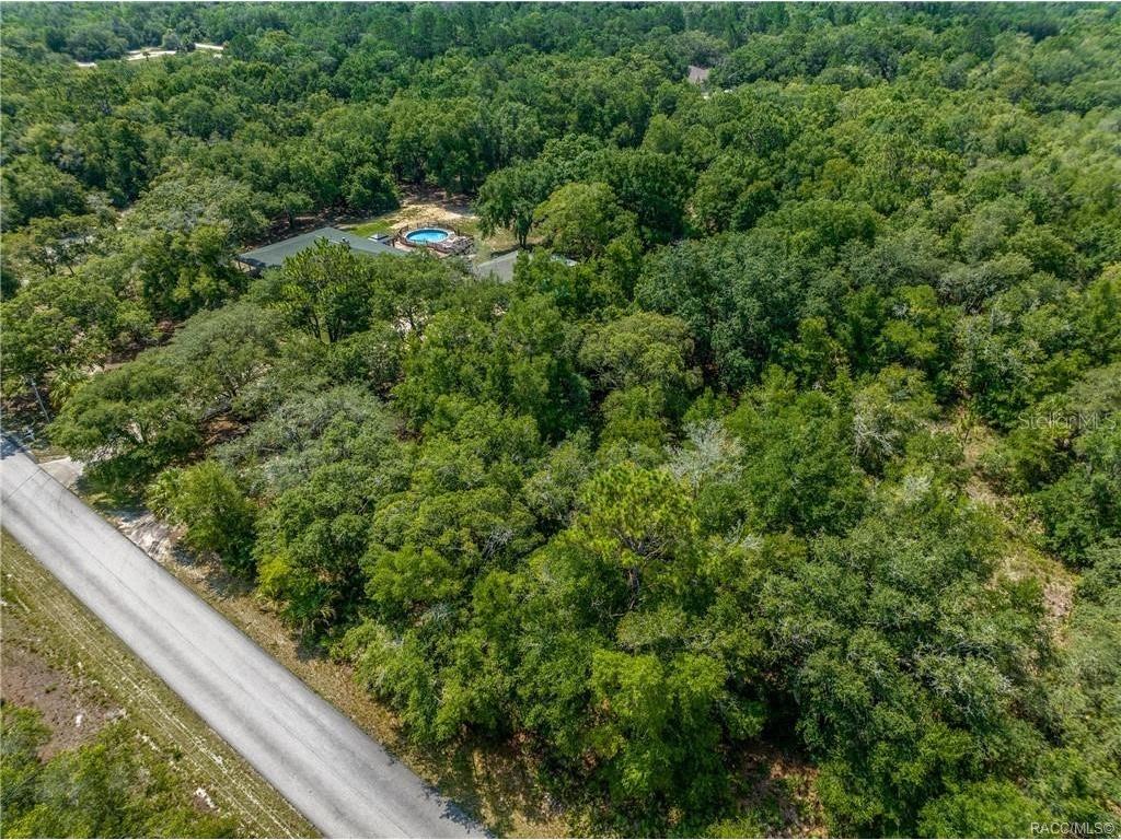 12766 W Cornflower Drive Crystal River FL 34428 TB8457971 image5