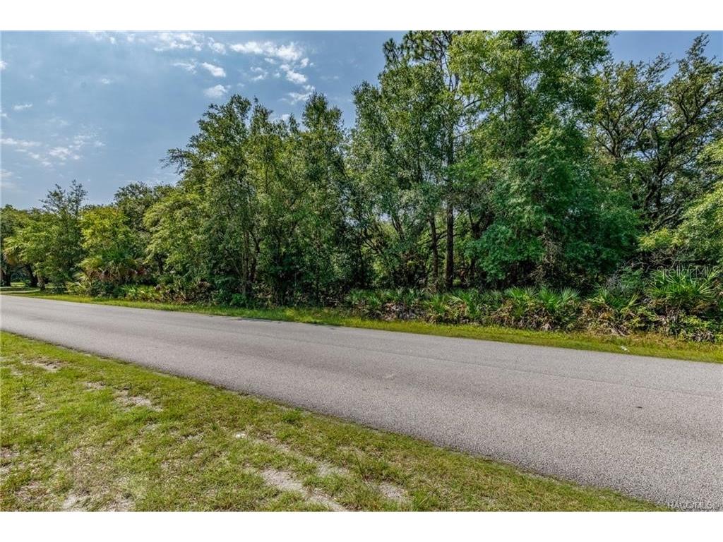 12766 W Cornflower Drive Crystal River FL 34428 TB8457971 image8