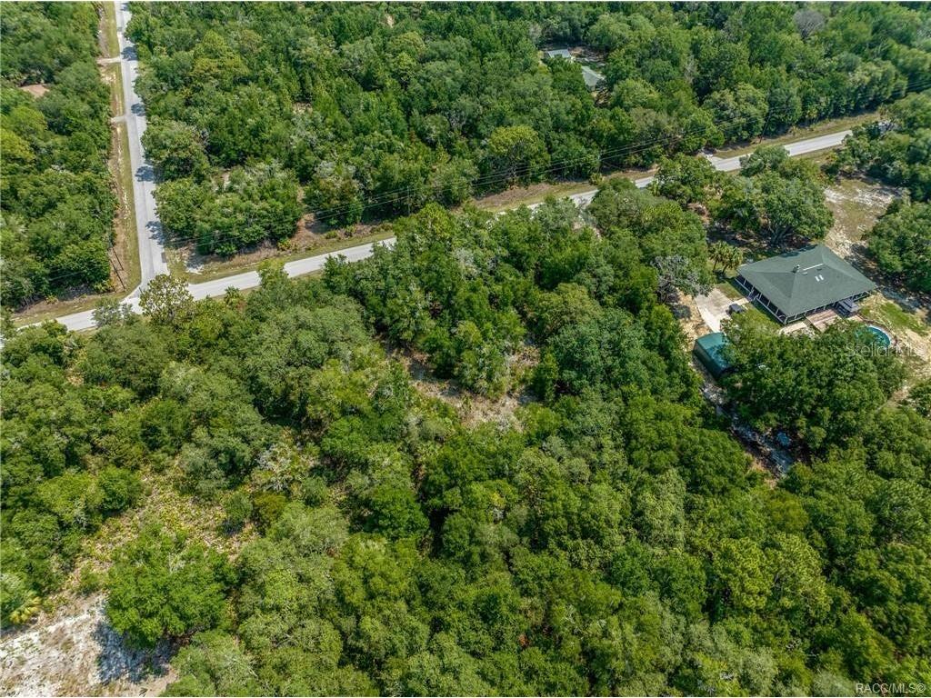 12766 W Cornflower Drive Crystal River FL 34428 TB8457971 image9