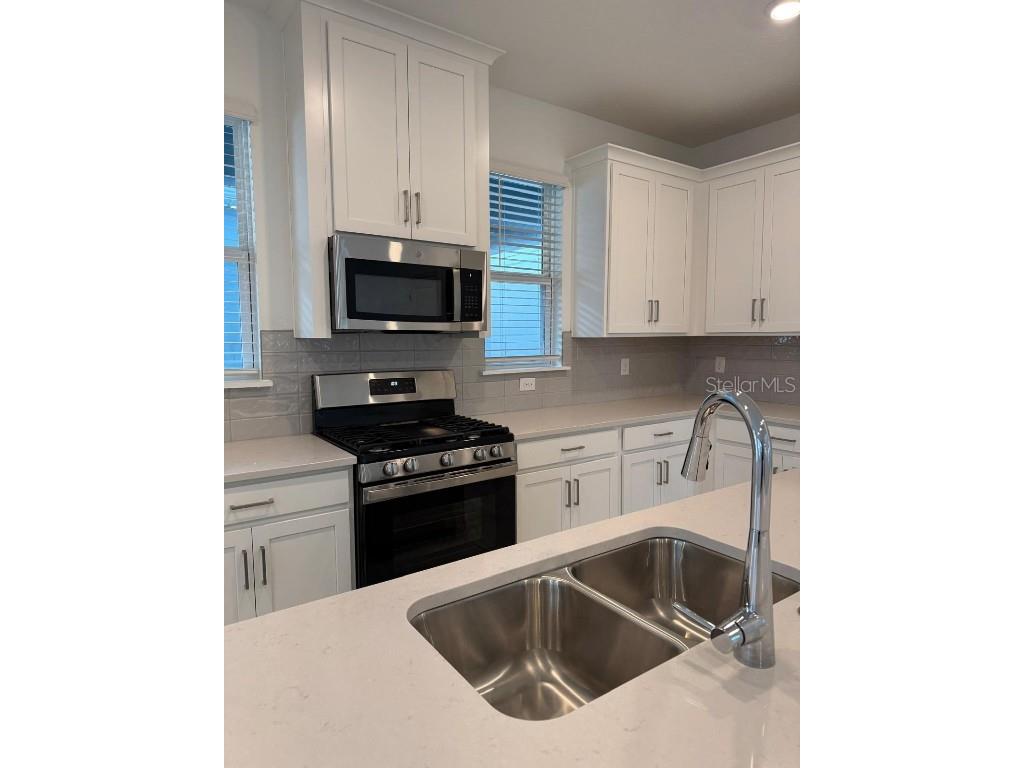 12767 Harvest Rain Avenue Winter Garden FL 34787 O6364632 image6