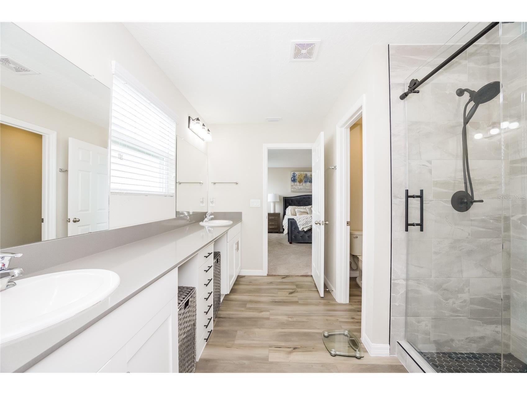 12767 Mangrove Forest Drive Riverview FL 33579 TB8515691 image11