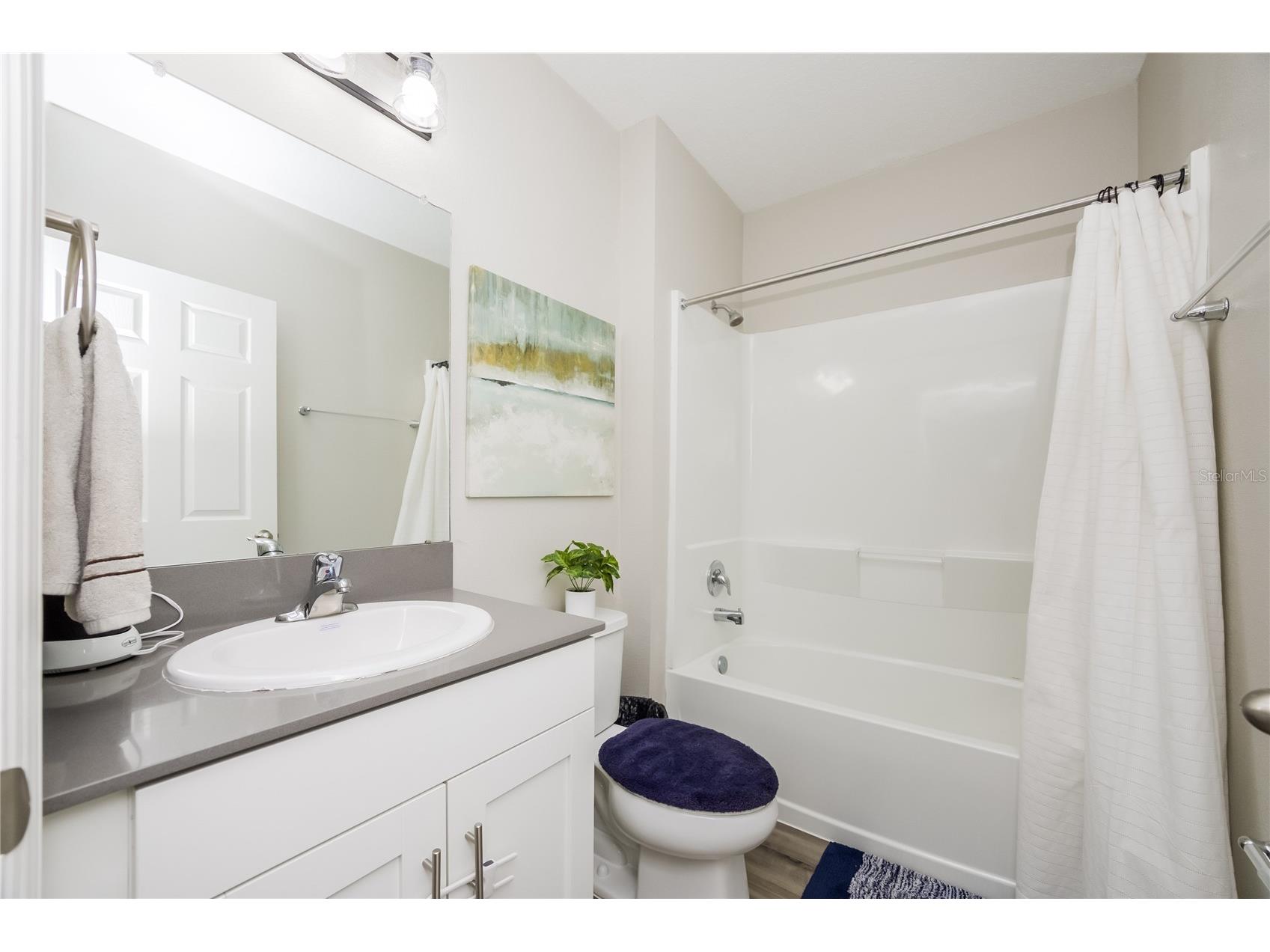 12767 Mangrove Forest Drive Riverview FL 33579 TB8515691 image17