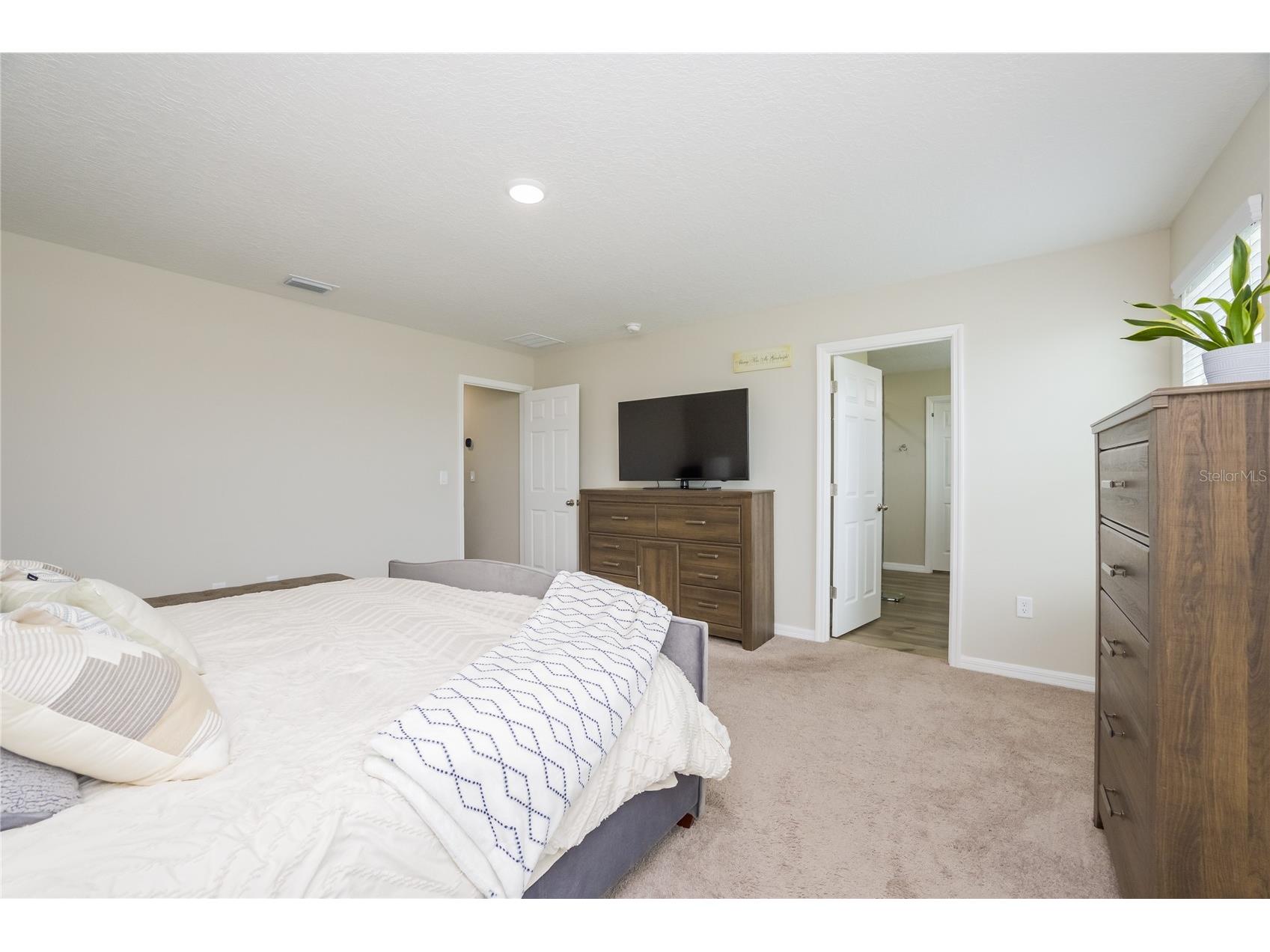 12767 Mangrove Forest Drive Riverview FL 33579 TB8515691 image9