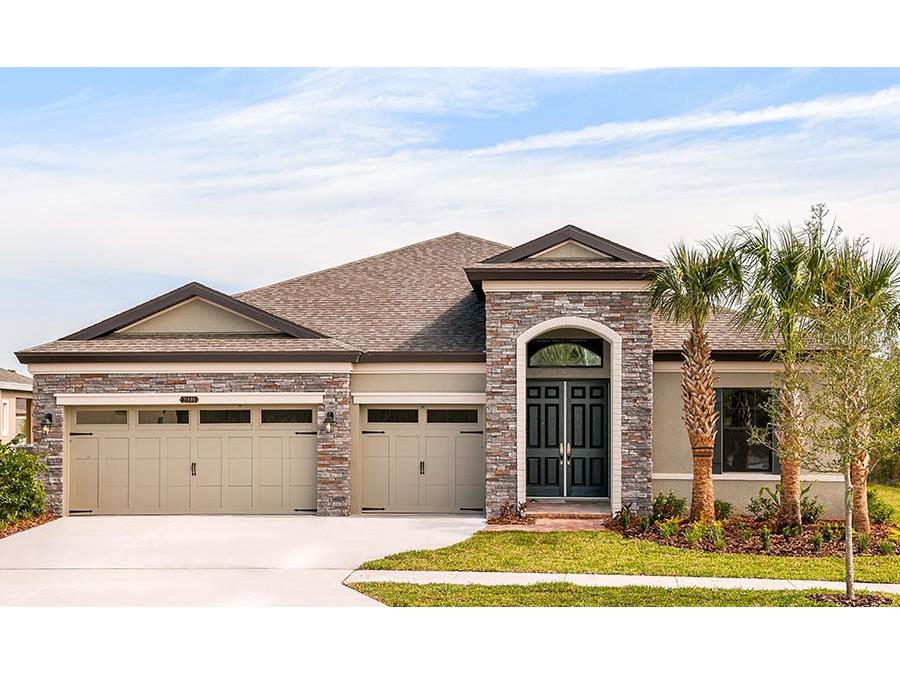 12769 Bergstrom Bay Drive Riverview FL 33579 T3438099 image1
