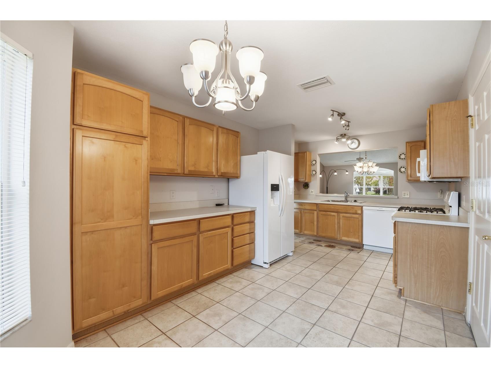 1277 Northbrook Place The Villages FL 32162 O6393945 image13