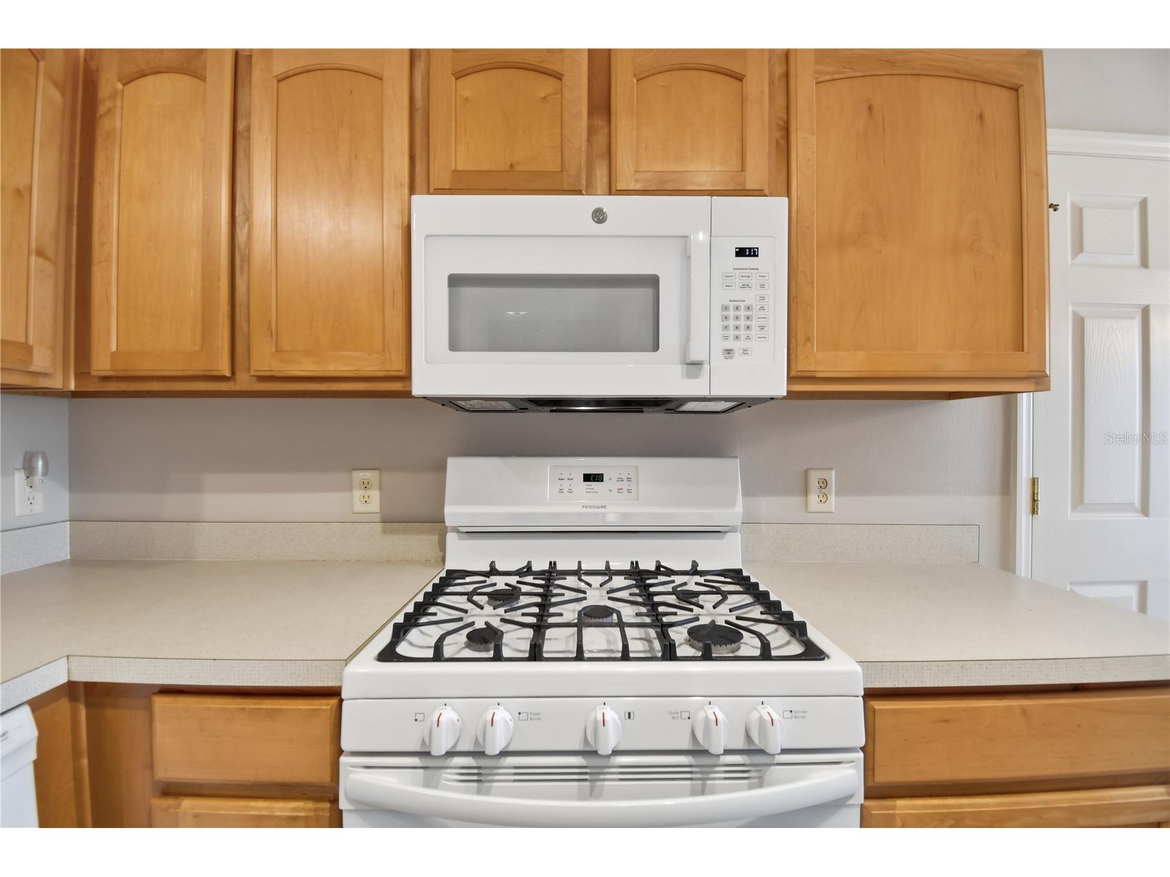 1277 Northbrook Place The Villages FL 32162 O6393945 image9