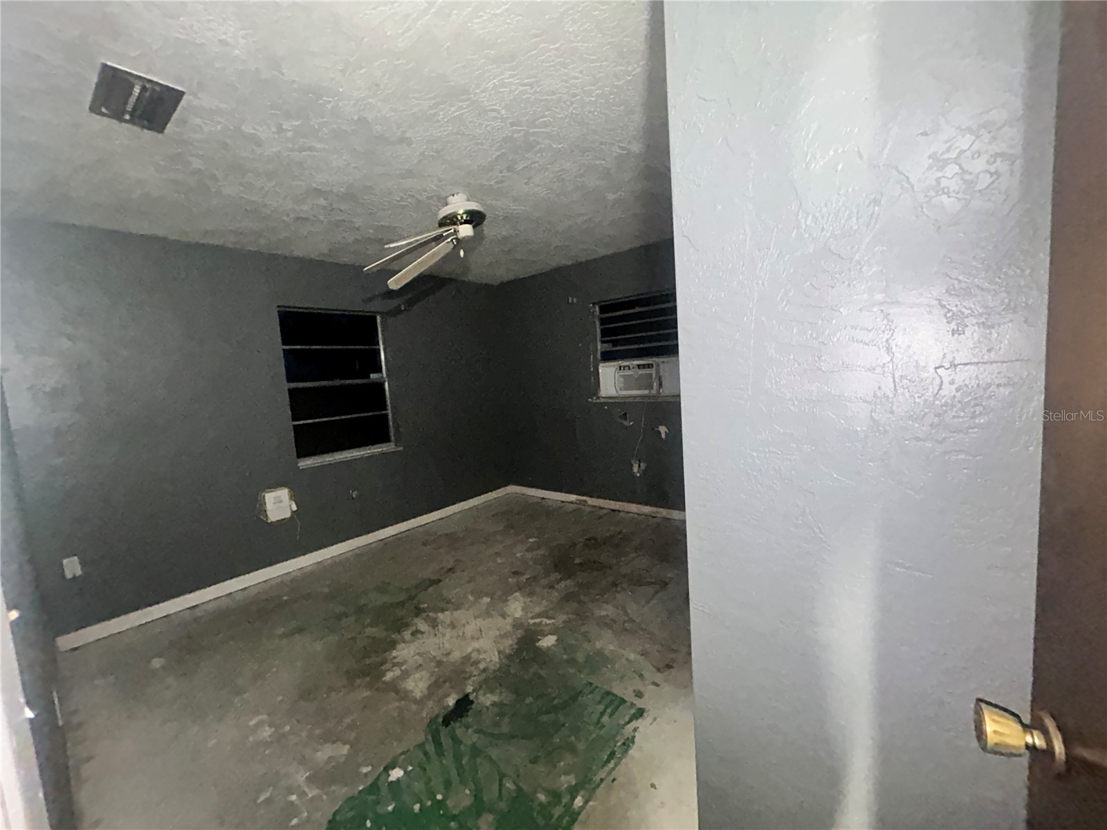 1277 Piper Road Spring Hill FL 34606 TB8513894 image18
