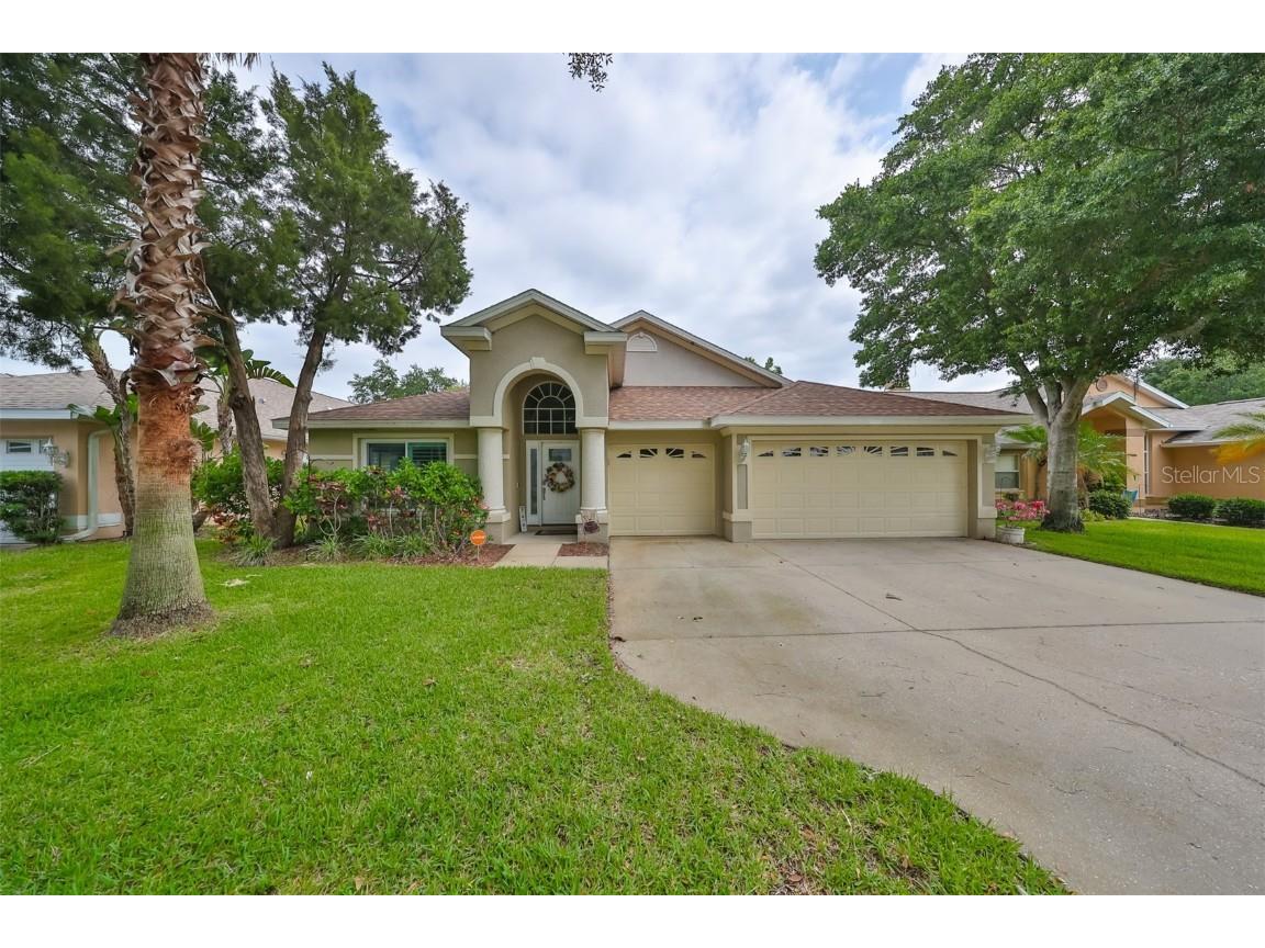 1277 Salt Lake Drive Tarpon Springs FL 34689 T3527283 image1