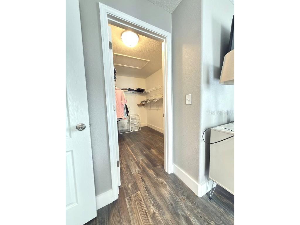 1277 Seburn Road Apopka FL 32703 S5139630 image17