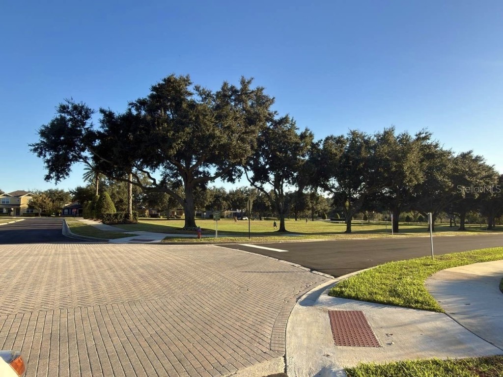 1277 Seburn Road Apopka FL 32703 S5139630 image26