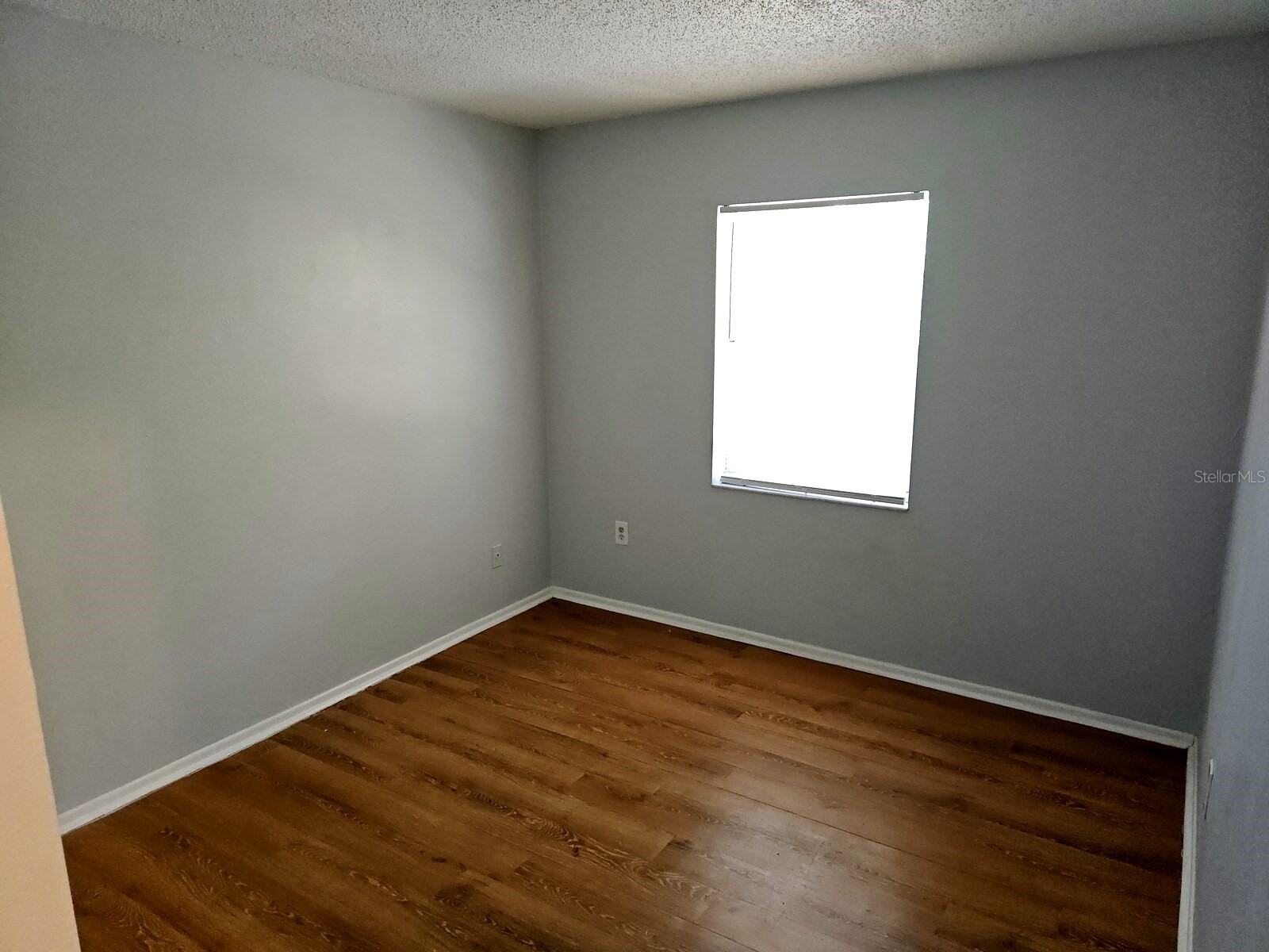 1277 Sylvia Avenue Spring Hill FL 34606 TB8521285 image29