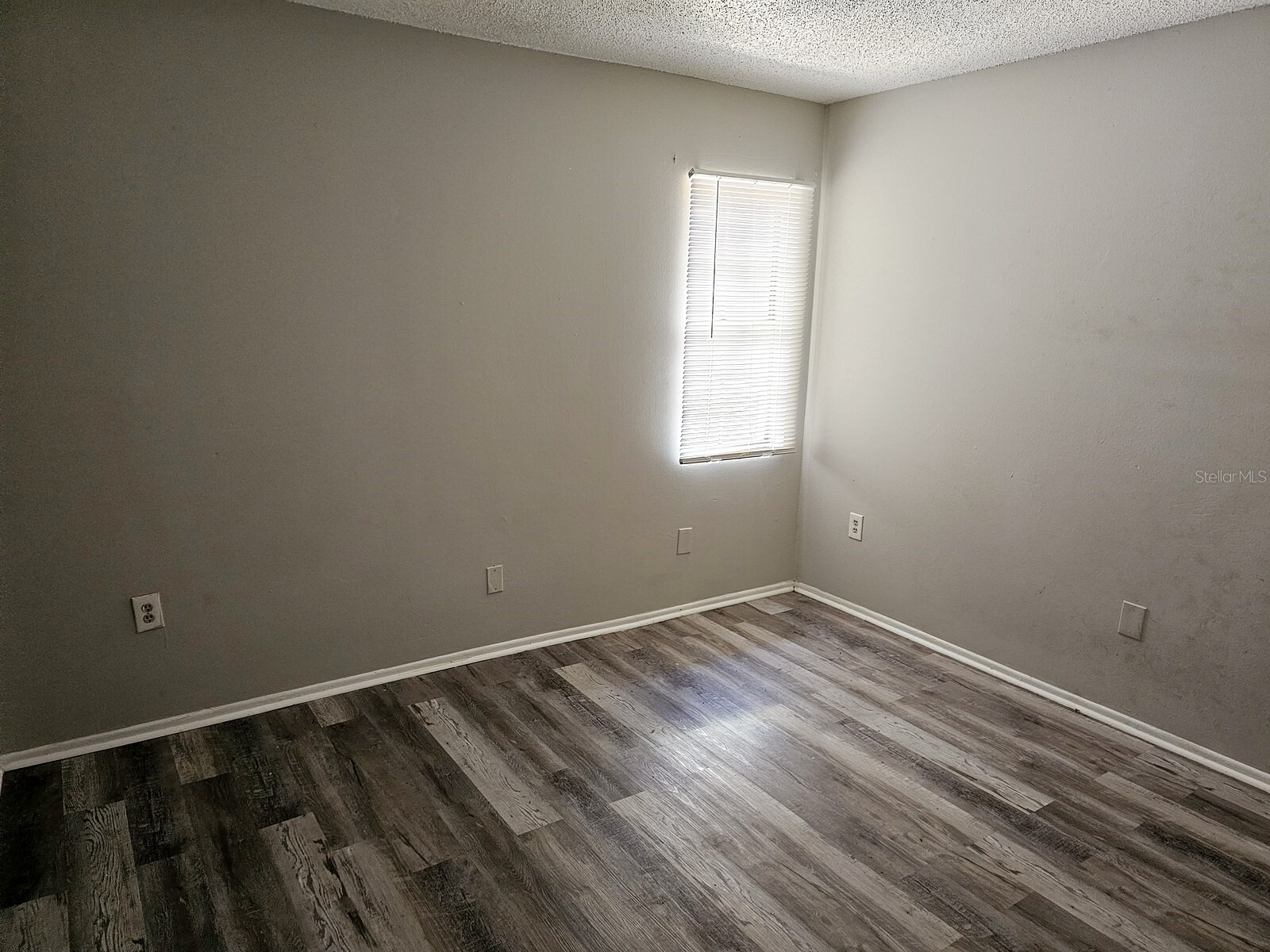 1277 Sylvia Avenue Spring Hill FL 34606 TB8521285 image36