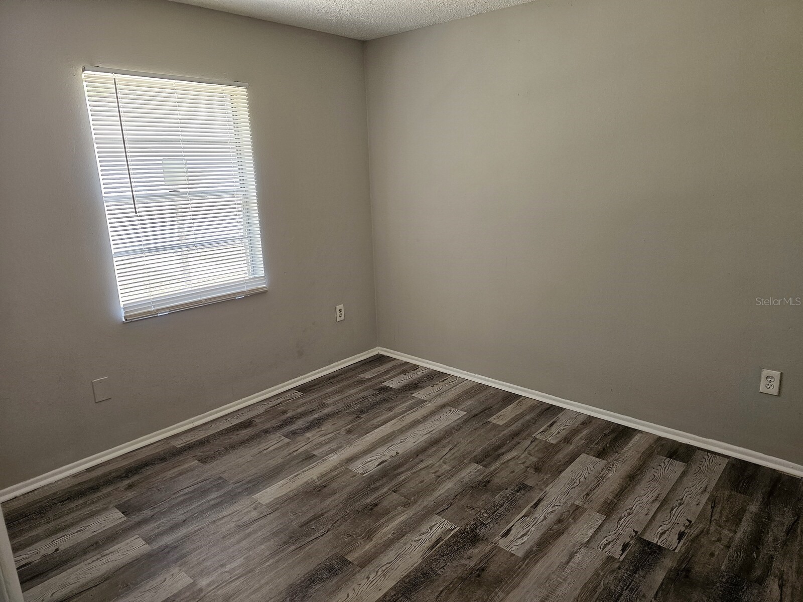 1277 Sylvia Avenue Spring Hill FL 34606 TB8521285 image37