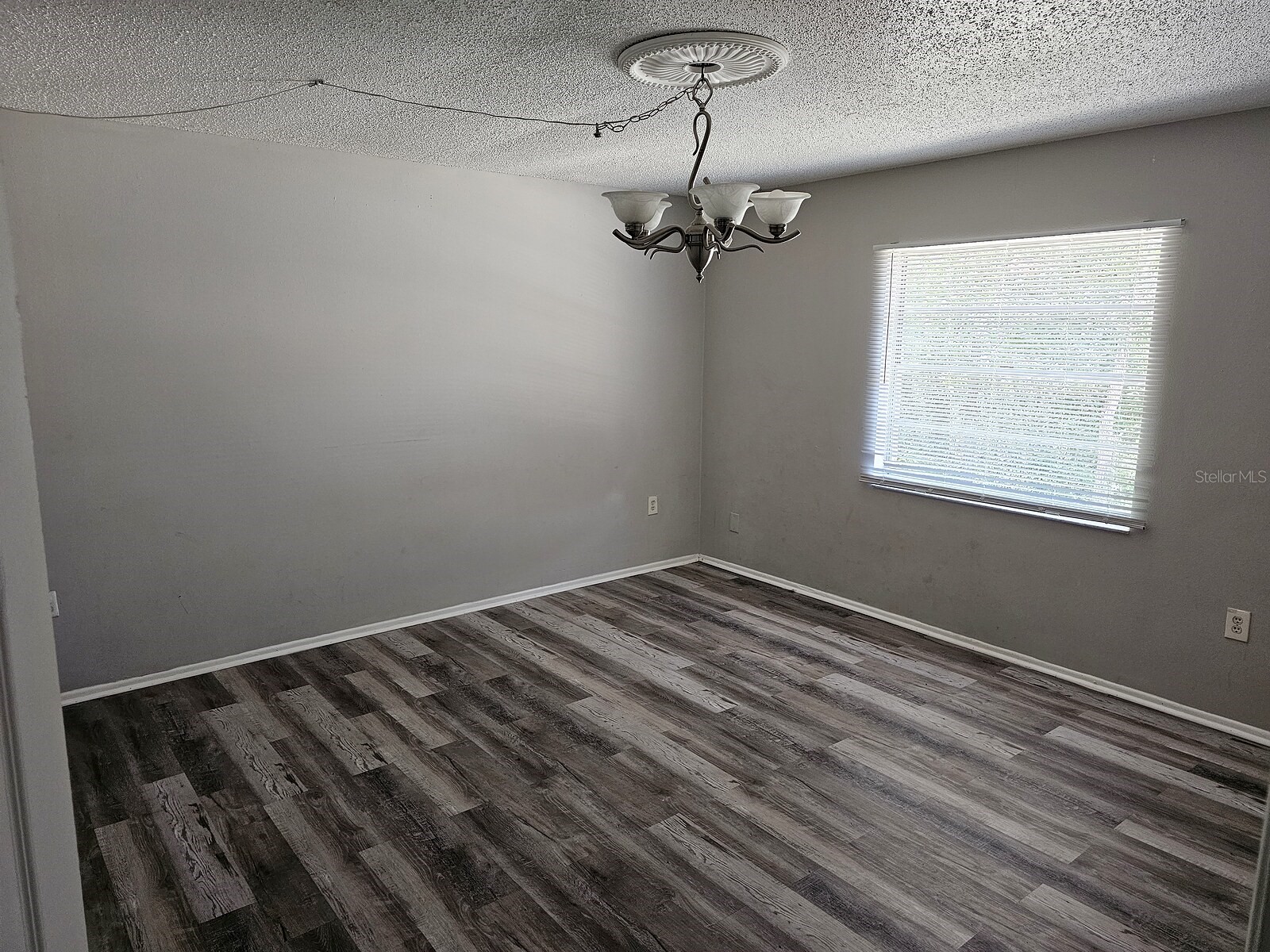 1277 Sylvia Avenue Spring Hill FL 34606 TB8521285 image38