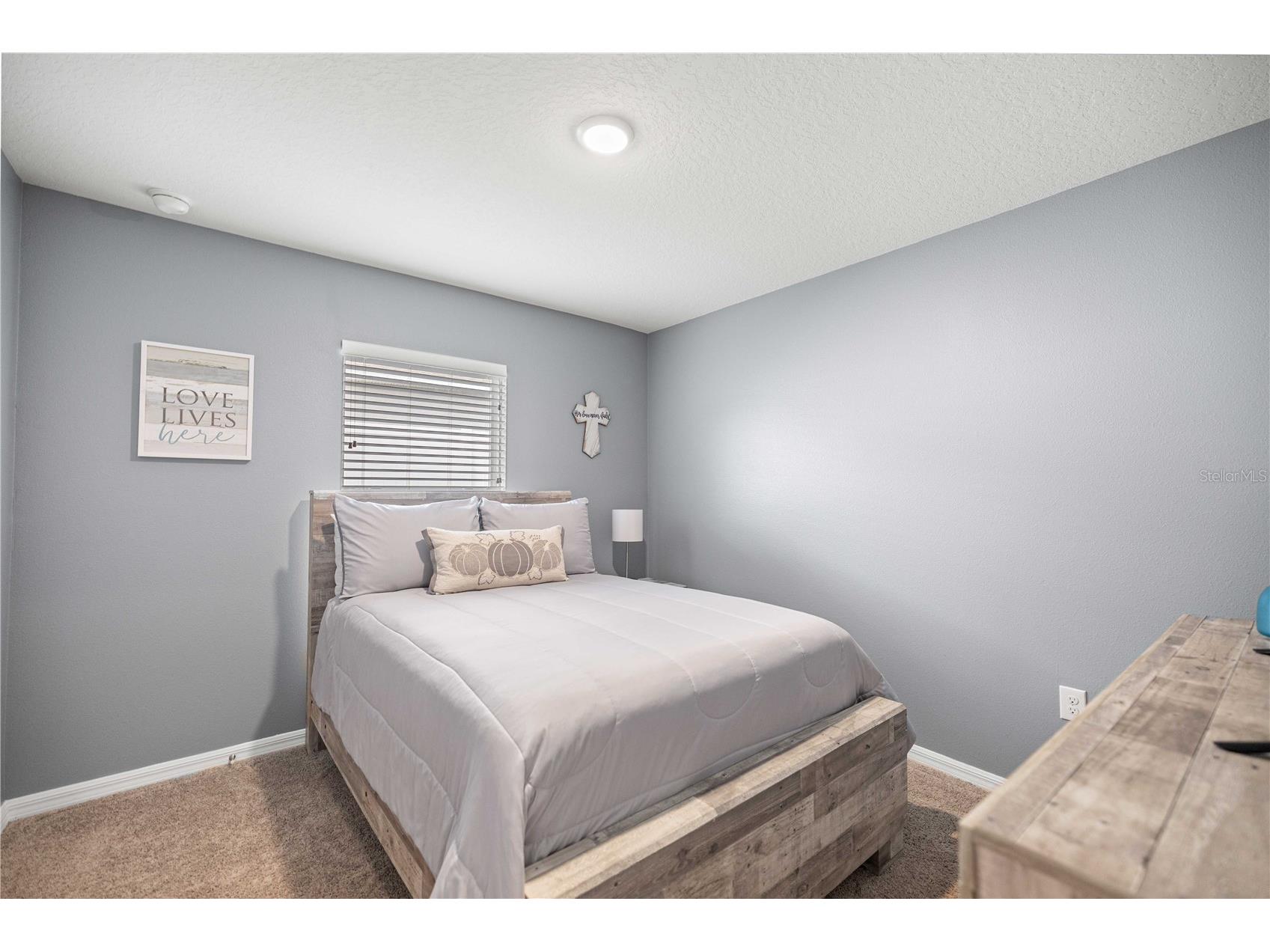 12775 Impatiens Street Spring Hill FL 34609 OM722834 image20