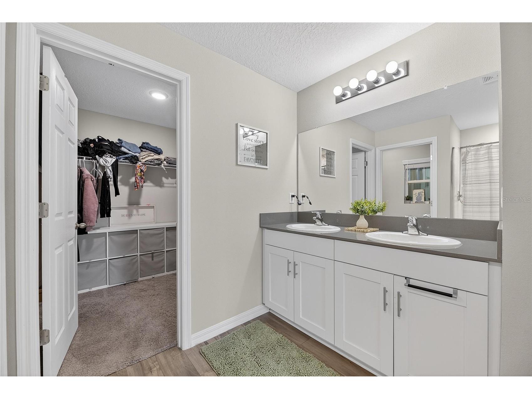 12775 Mangrove Forest Drive Riverview FL 33579 TB8478716 image13