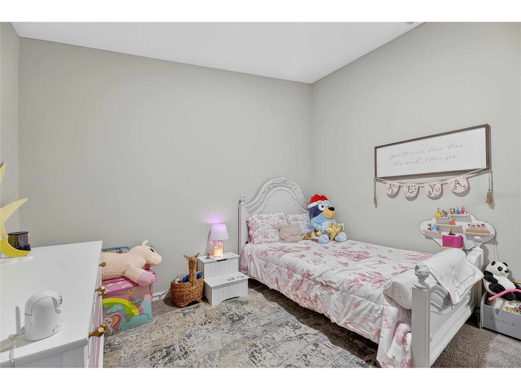 12775 Mangrove Forest Drive Riverview FL 33579 TB8478716 image19