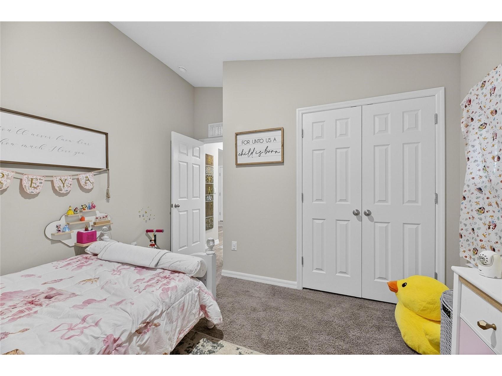 12775 Mangrove Forest Drive Riverview FL 33579 TB8478716 image20