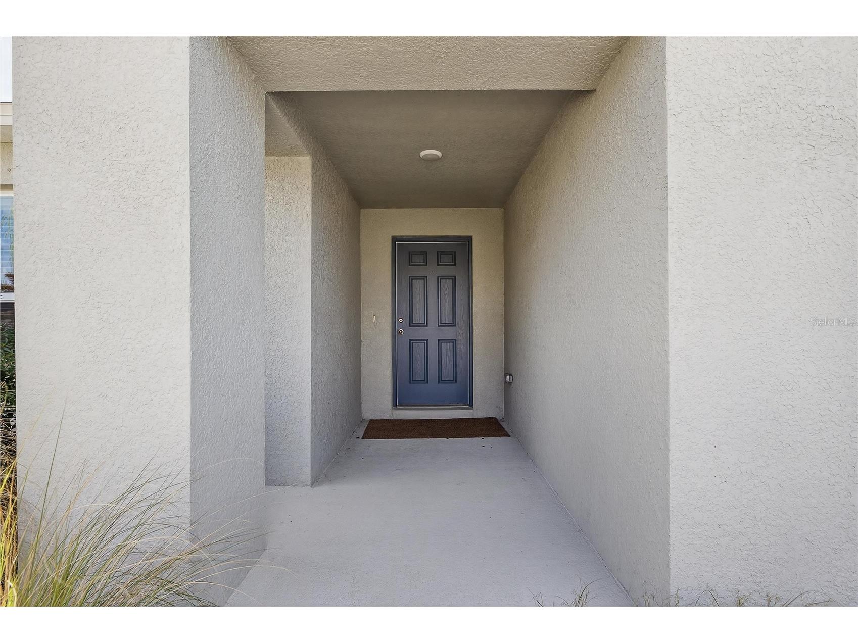 12775 Mangrove Forest Drive Riverview FL 33579 TB8478716 image3
