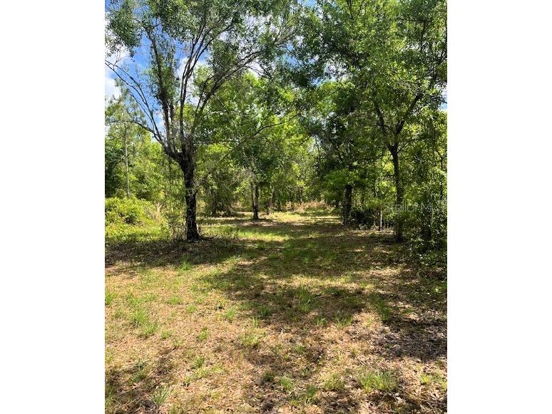 1278 NW Eucalyptus Avenue Arcadia FL 34266 C7476246 image1