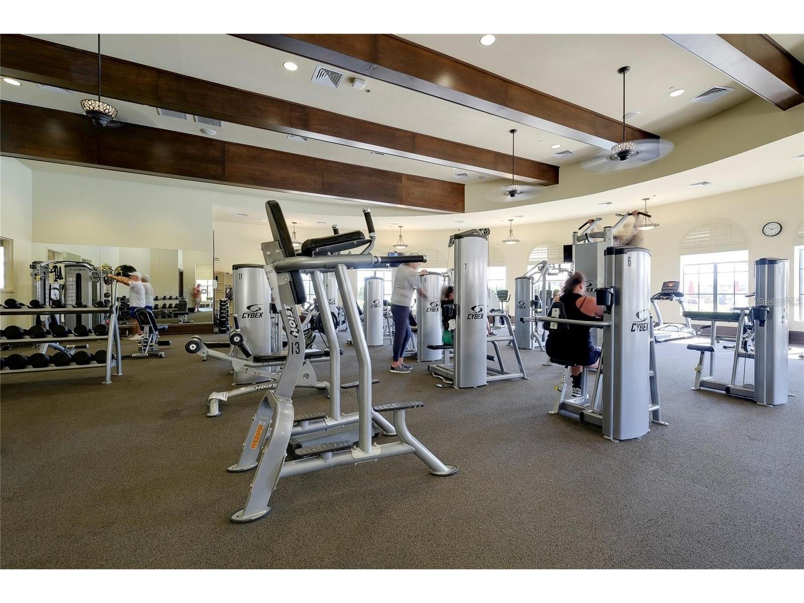 12781 Cinqueterre Drive Venice FL 34293 N6141913 image50