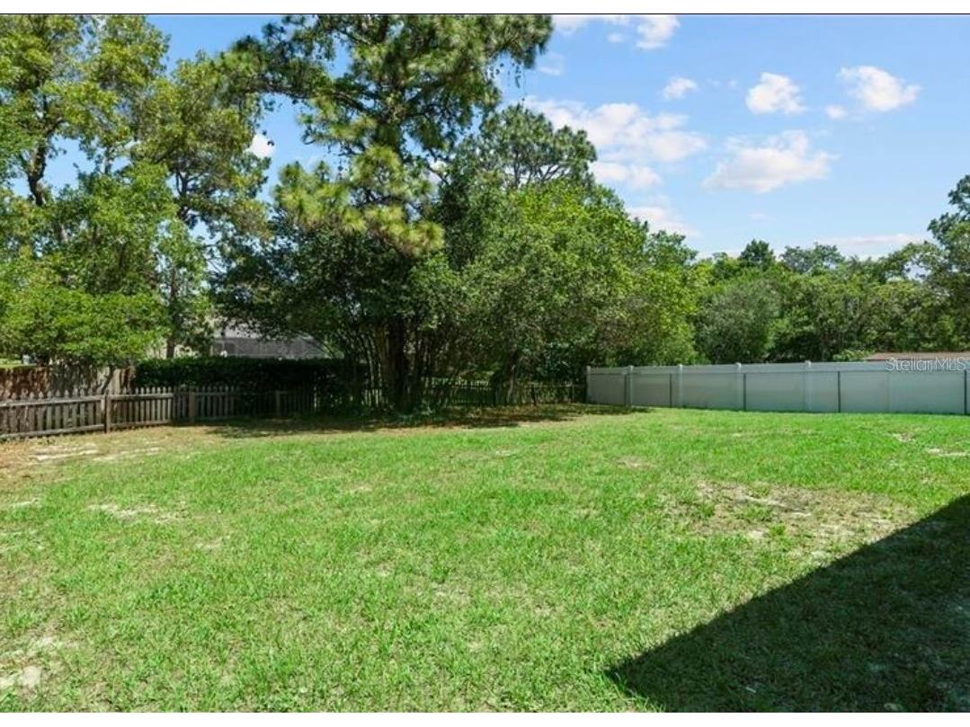 12783 Linden Drive Spring Hill FL 34609 TB8516400 image53