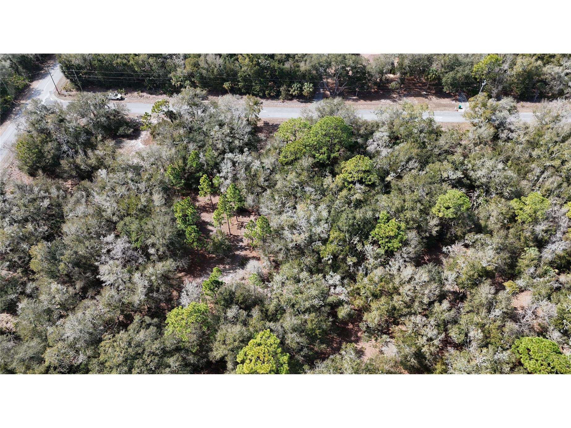 12784 W Cypress Vine Lane Crystal River FL 34428 OM719348 image2