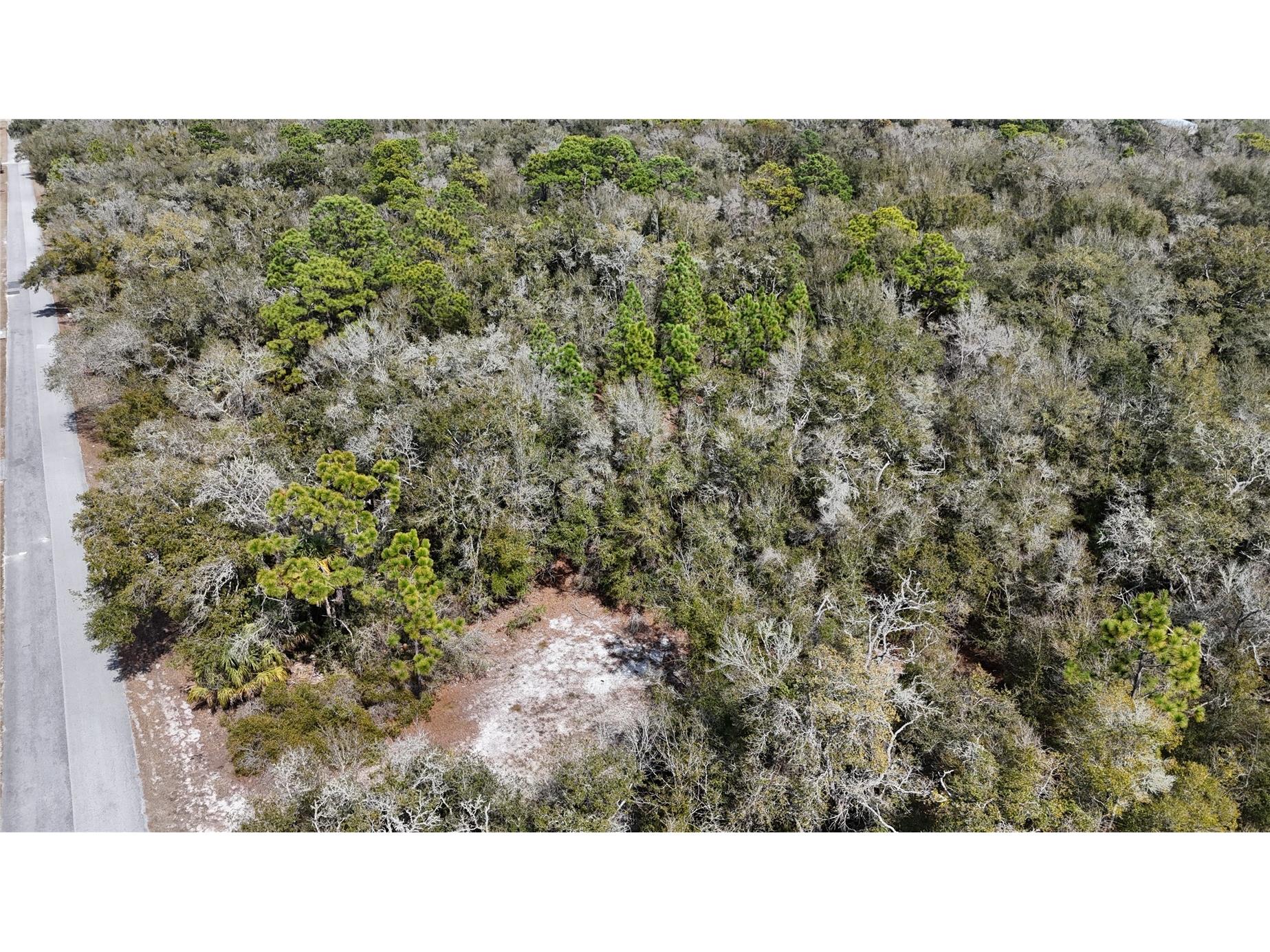 12784 W Cypress Vine Lane Crystal River FL 34428 OM719348 image4