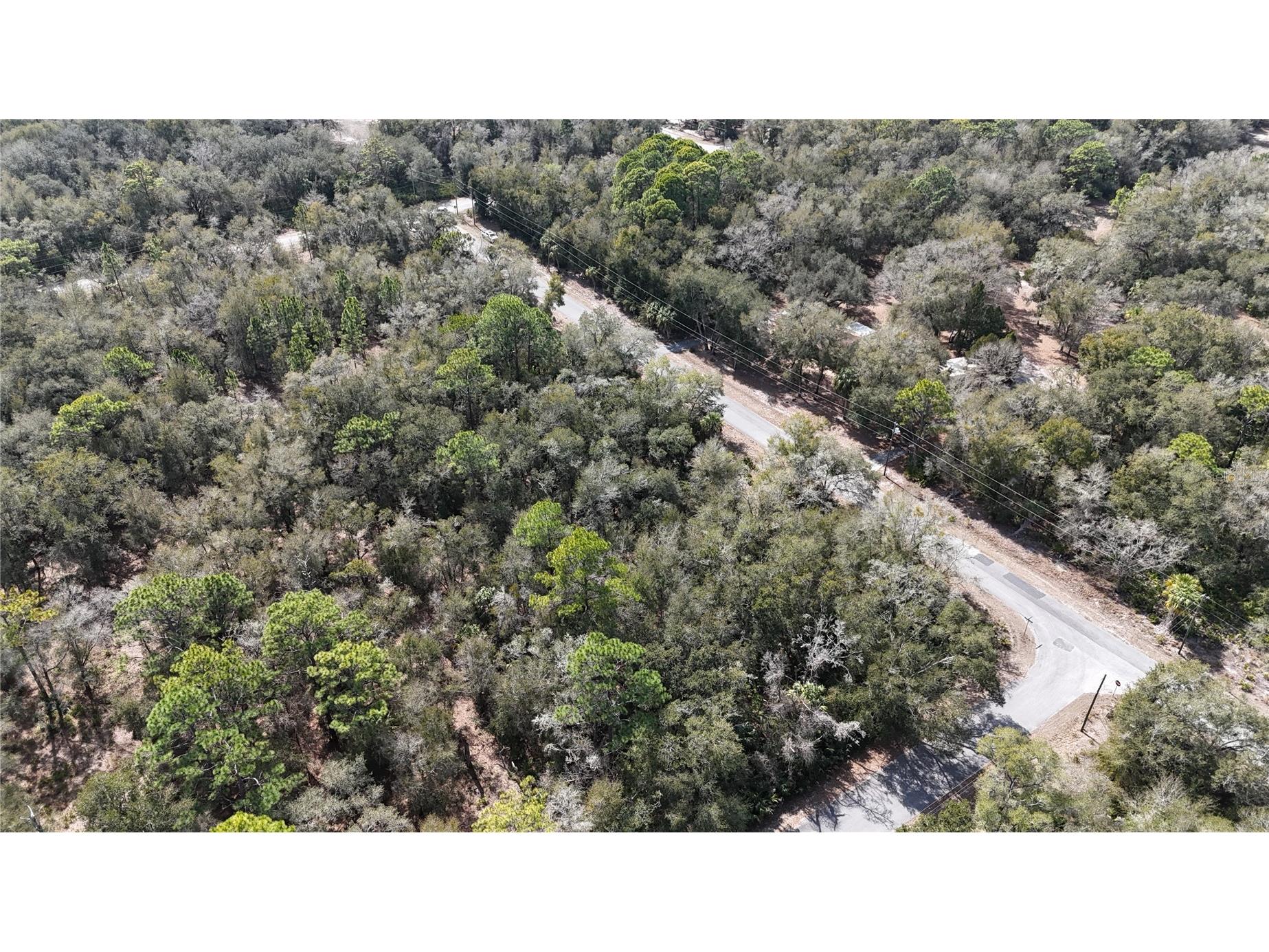 12784 W Cypress Vine Lane Crystal River FL 34428 OM719348 image5