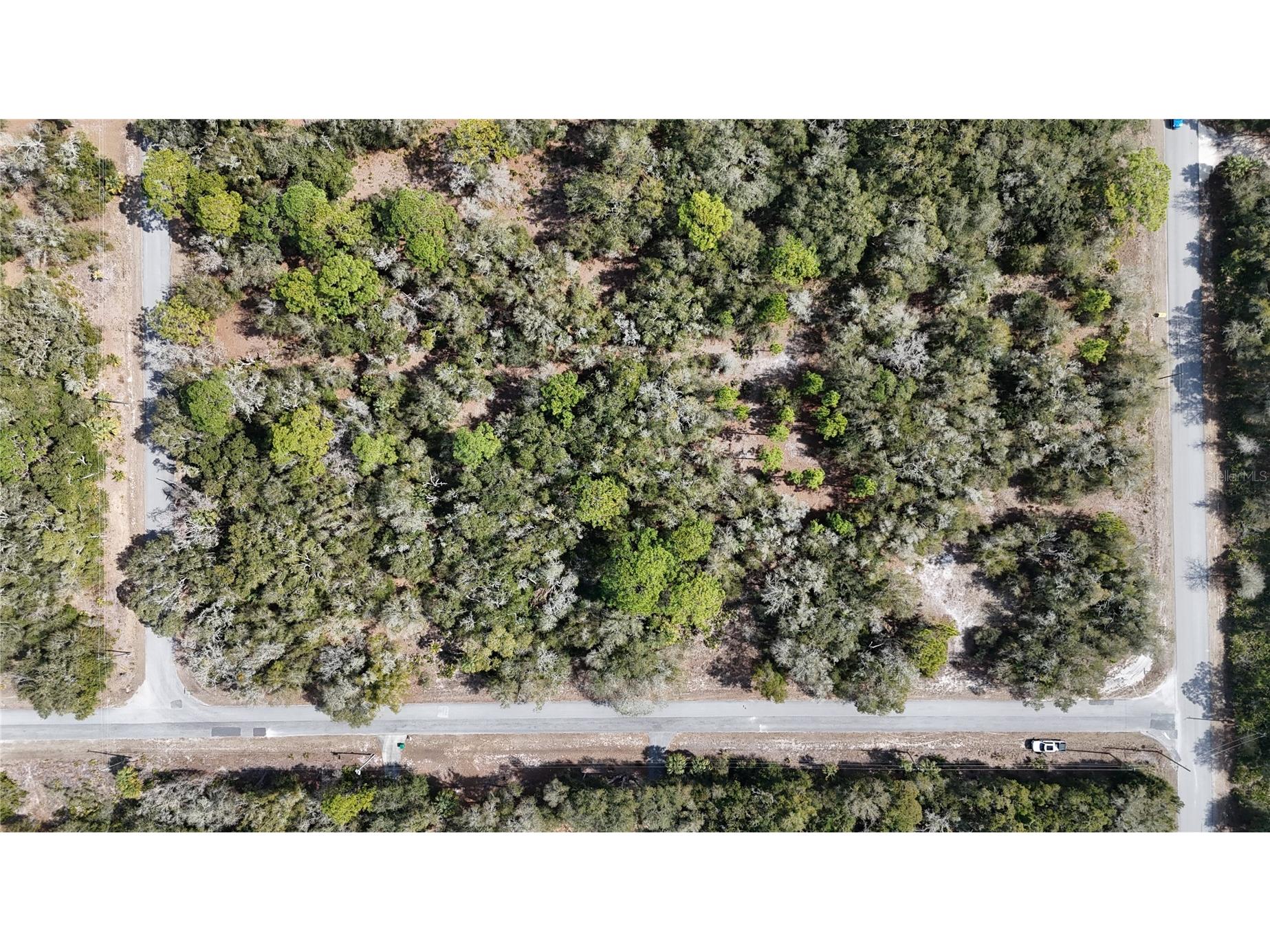 12786 W Cornflower Drive Crystal River FL 34428 OM719295 image2