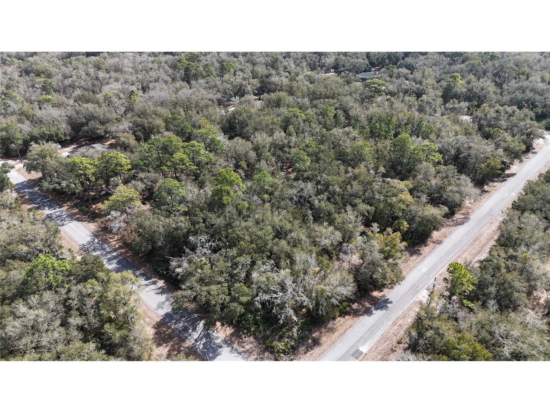 12786 W Cornflower Drive Crystal River FL 34428 OM719295 image3