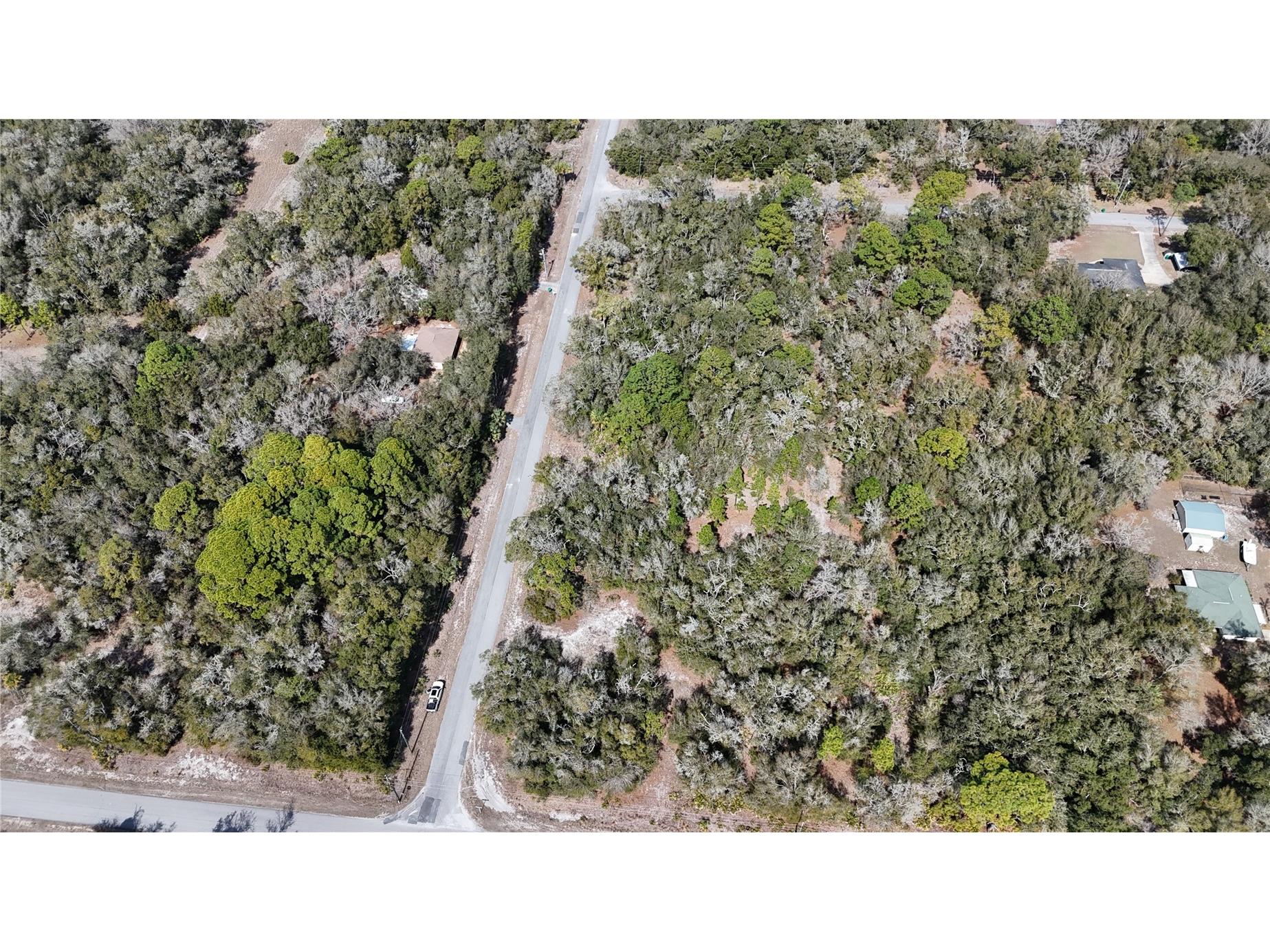 12786 W Cornflower Drive Crystal River FL 34428 OM719295 image6