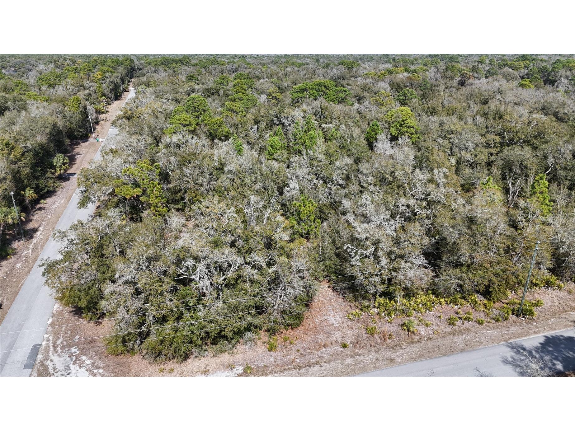 12786 W Cornflower Drive Crystal River FL 34428 OM719295 image7