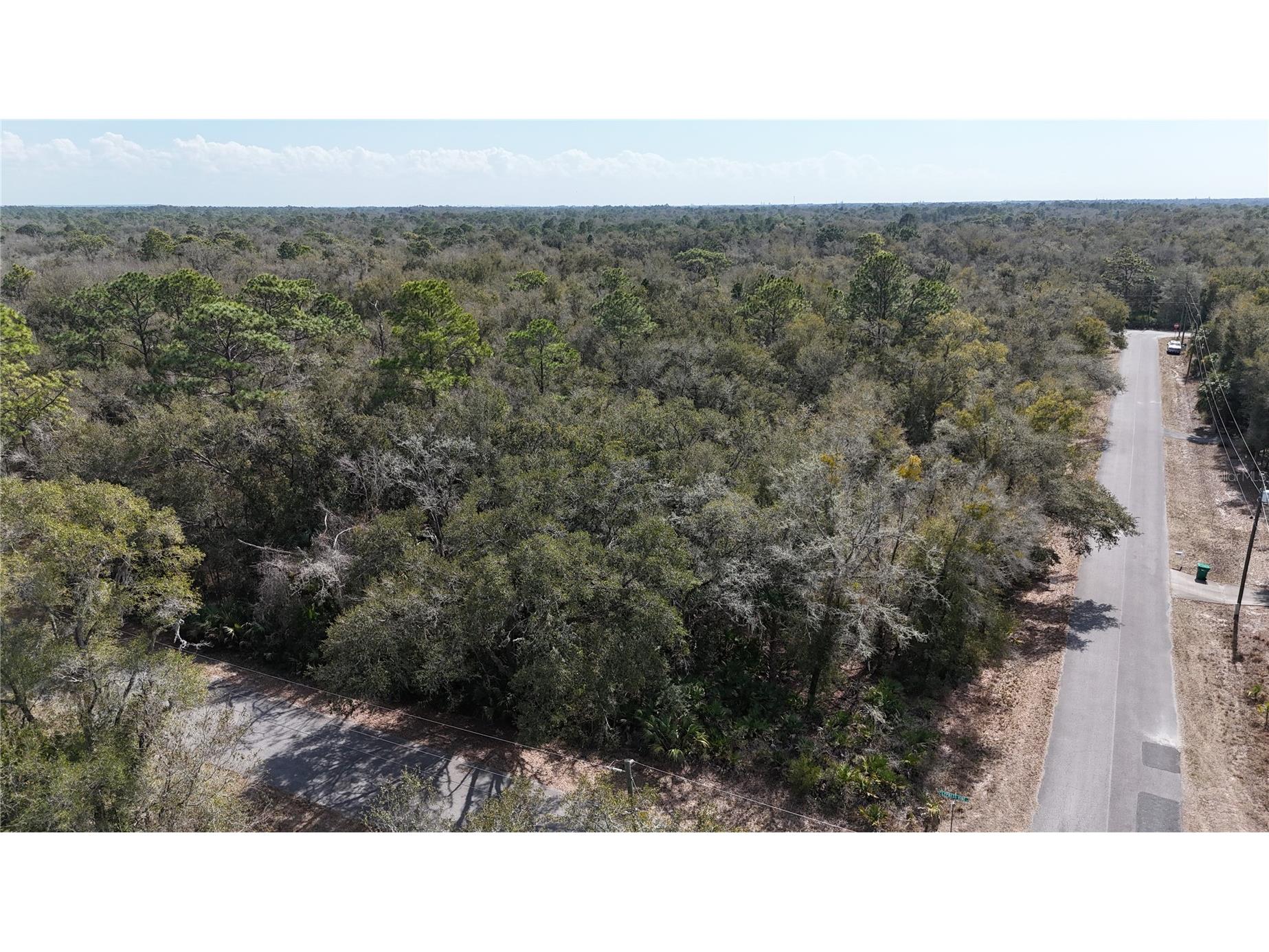 12786 W Cornflower Drive Crystal River FL 34428 OM719295 image9