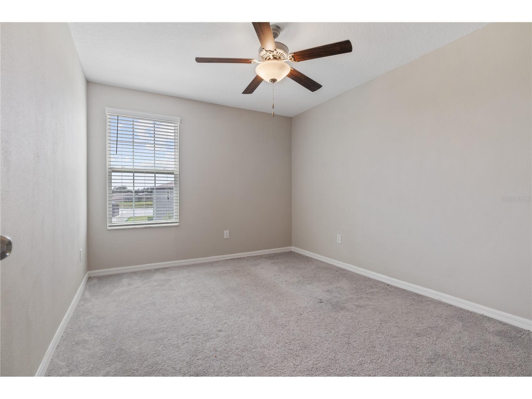 12787 Maple Bonsai Drive Riverview FL 33579 TB8526719 image16