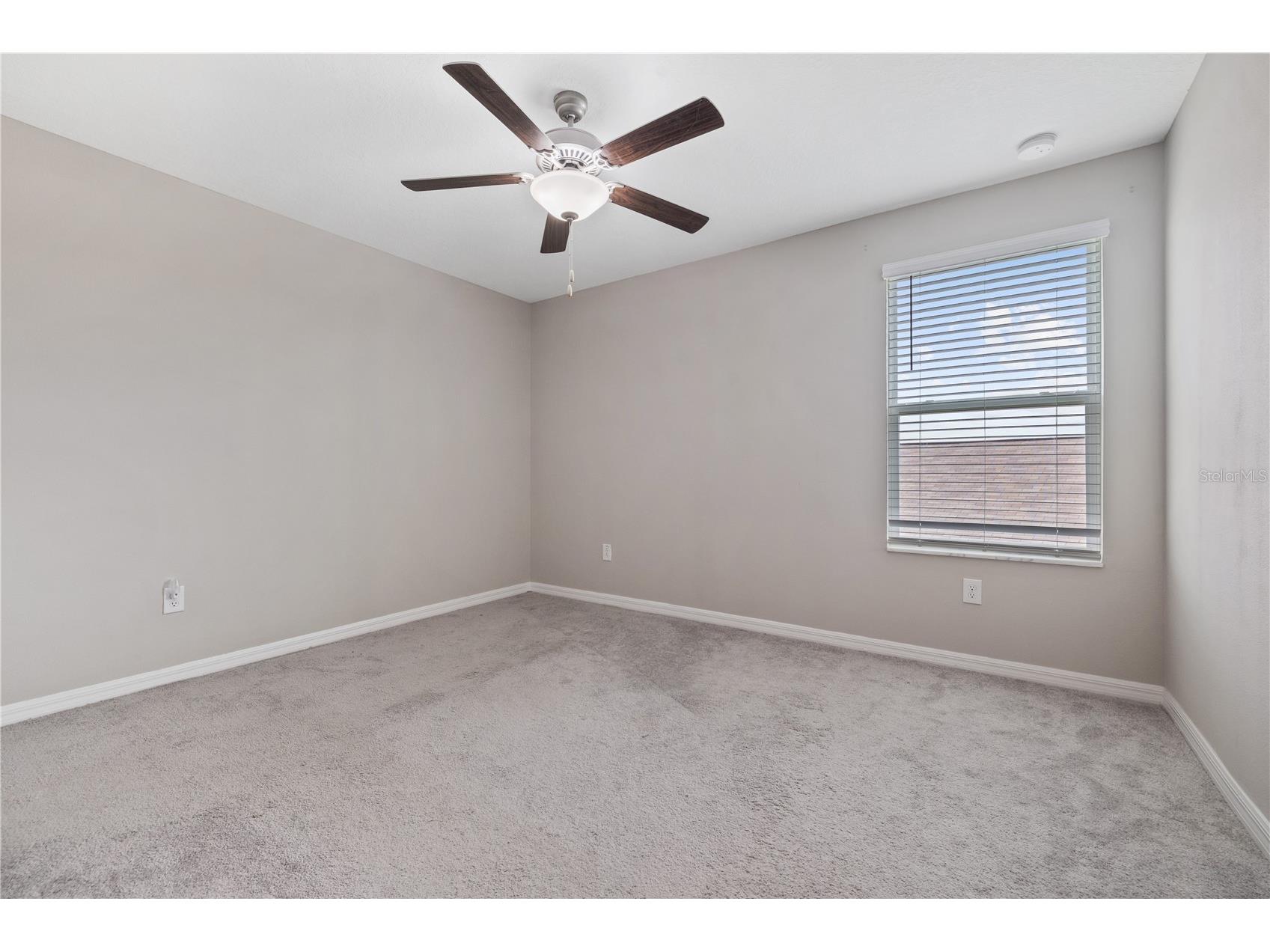 12787 Maple Bonsai Drive Riverview FL 33579 TB8526719 image18