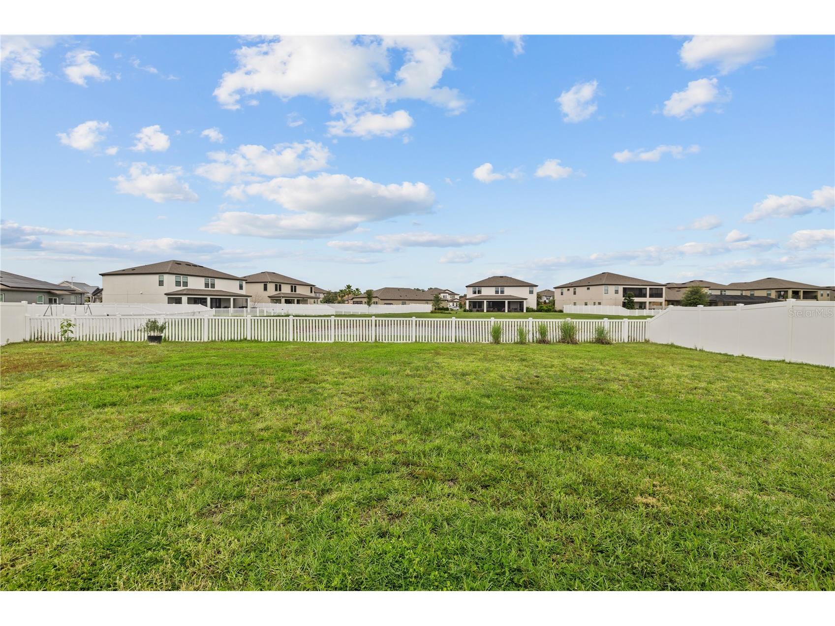 12787 Maple Bonsai Drive Riverview FL 33579 TB8526719 image23