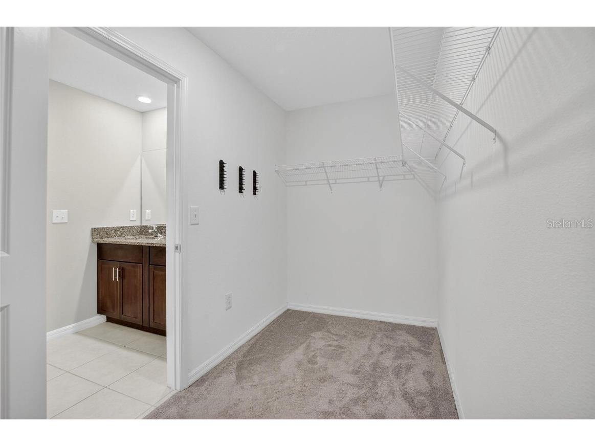 12788 Maple Bonsai Drive Riverview FL 33579 TB8420924 image23